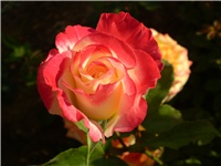 f5b04e37-Picture 3077.jpg